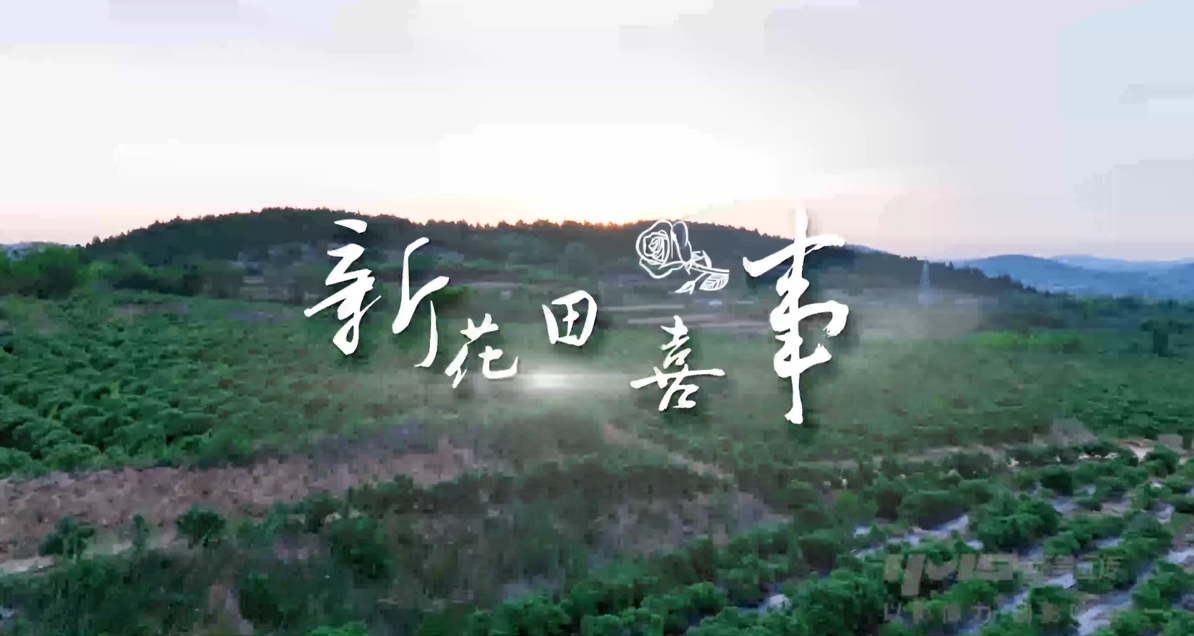 浪潮云洲企业宣传片案例视频.png
